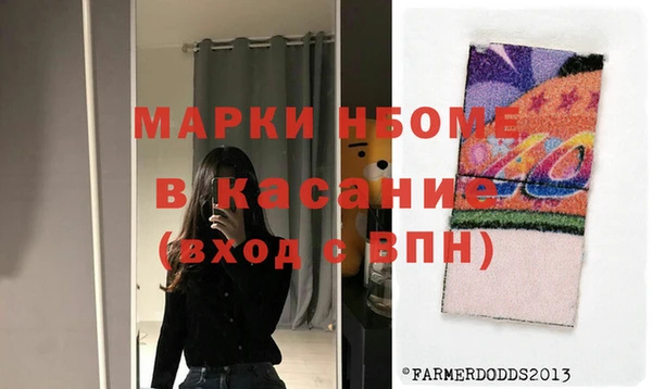 ГАЛЛЮЦИНОГЕННЫЕ ГРИБЫ Белокуриха