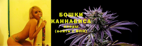 ГАЛЛЮЦИНОГЕННЫЕ ГРИБЫ Белокуриха