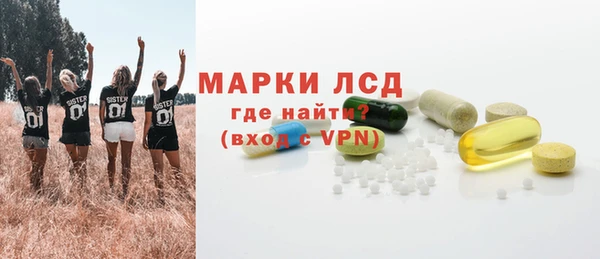 ГАЛЛЮЦИНОГЕННЫЕ ГРИБЫ Белокуриха