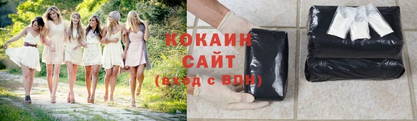 дживик Богданович