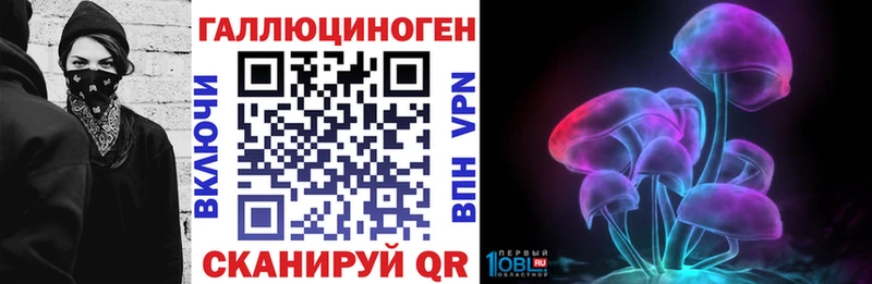 Псилоцибиновые грибы Psilocybe Бузулук