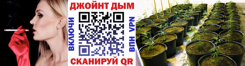 Бошки Шишки Ganja  наркошоп  Бузулук 